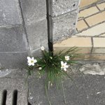 요즘 잘생긴남자애들진짜 연예인<b>안</b>하나<b>봄</b>