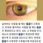 나 좋아하는 사람 생기면 하는거 있음