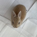 내가 외모<b>정병</b>이없는이유