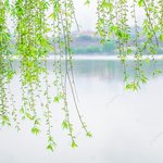 고려나 <b>조선</b>시대에서 살고싶다
