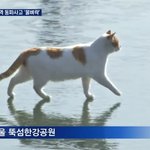 이런 싸가지 없는 <b>새끼</b>를 봤나