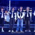 라이즈 비율 왜이래……?