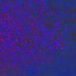 [댓글부탁해] 뉴진스 ㅎㅇㅂ <b>마약</b> <b>문제</b>도 있을까?