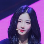 미모꽃이 활짝 피었습니다