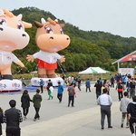 뉴진스 다음 컴백 무대 <b>장소</b>