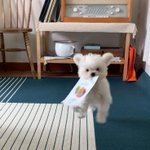 ㄹㅇ <b>며칠씩</b> 머리안감고다니는애들이 존재함??