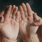 (스포)선업튀 갓드 용두용용<b>용미</b>