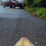 뉴진스 뮤비 <b>동물</b>들 시점