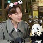 <b>송바오</b>가 푸바오로 하루만 살아보고 싶다고 한 이유