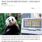 [어케생각해] <b>푸바오</b> 학대 받고 있는 것 같아..