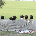 [보<b>넥</b>도] 일주년