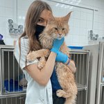 직업 만족도 <b>최상</b>!!