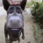 화장 잘하는 사람들 들어와봐..