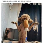 나 <b>탈판</b>할거야