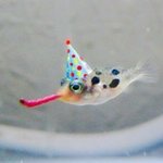 [드루와] 나만 <b>스몰톡</b> 좋아하냐