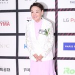김수미, 피로 누적으로 병원 입원...활동 잠정 중단