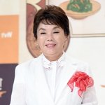 '76세' 김수미, 활동 잠정 중단…피로 누적으로 입원