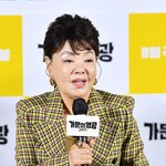 김수미, 피로누적으로 활동 잠정 중단