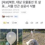 [댓글부탁해] 북한에서 <b>오물</b>풍선 투척한 거 알아?