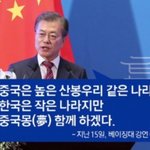 속이는걸 응원하는게 <b>정상</b>이에요?