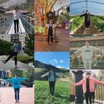 진의 <b>의도</b>는 이런거였겠지