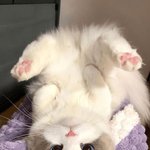 [댓글부탁해] 여돌들한테 <b>대시</b>많이받을거같은 남돌