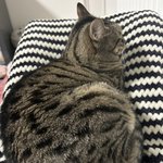 키키를 위해서라면~