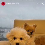 [모두드루와] <b>해찬</b>이랑 한서희 봐 ㅋㅋㅋ