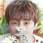 인피니트 디지털 싱글 '<b>Flower</b>' 컨포