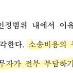 [드루와] 하이브가 민희진 소송비용 전부부담해야된대