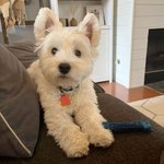 이렇게 귀여운 건 좀 <b>반칙</b>이라고 생각해