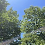 [혼자하는말] <b>초록</b>