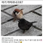 [혐주의] <b>잇몸</b> ㄹㅈㄷ 난리남