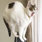 아 엄마 <b>청력</b> 진짜 소름이네