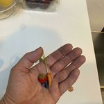 하 전 앞으로도 쭉 <b>사서</b> 먹을게요