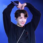 방탄 SYS in rosebowl <b>Day</b>2 제이홉