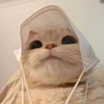 보고싶다