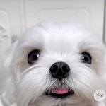 잘자