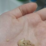 [댓글부탁해] *사진 <b>더러움</b> 주의*
