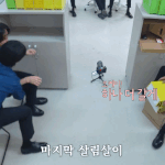 [스키즈] <b>진</b>땨 댕웃긴다곸ㅋㅋㅋㅋㅋㅋ