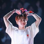 방탄 LYS TOUR <b>JAPAN</b> 정국