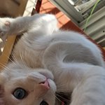 여러분~!! 우리 귀여운 <b>바다</b> 또 보고가세요!!!! (2)