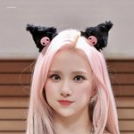 <b>온</b> <b>세상</b> 귀여움 다 어디 갔나 했는데