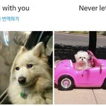 [<b>방탄소년단</b>] ㅋㅋㅋㅋㅋㅋㅋㅋ