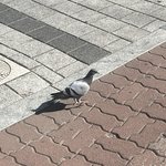 내일 페이커<b>신전</b>가는데