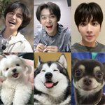 [<b>TXT</b>] 너무귀여워서울고싶음