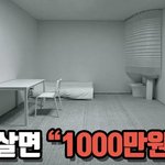 [드루와] 니네 여기서 한달 공부하면 수능 찢기 가능함?