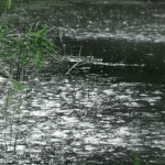 <b>ASMR</b> 이런게좋더라