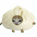 [댓글부탁해] 야들아 둘중에뭐머글까