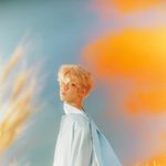 스타일 디렉터 락타의 투바투 작업<b>물들</b>